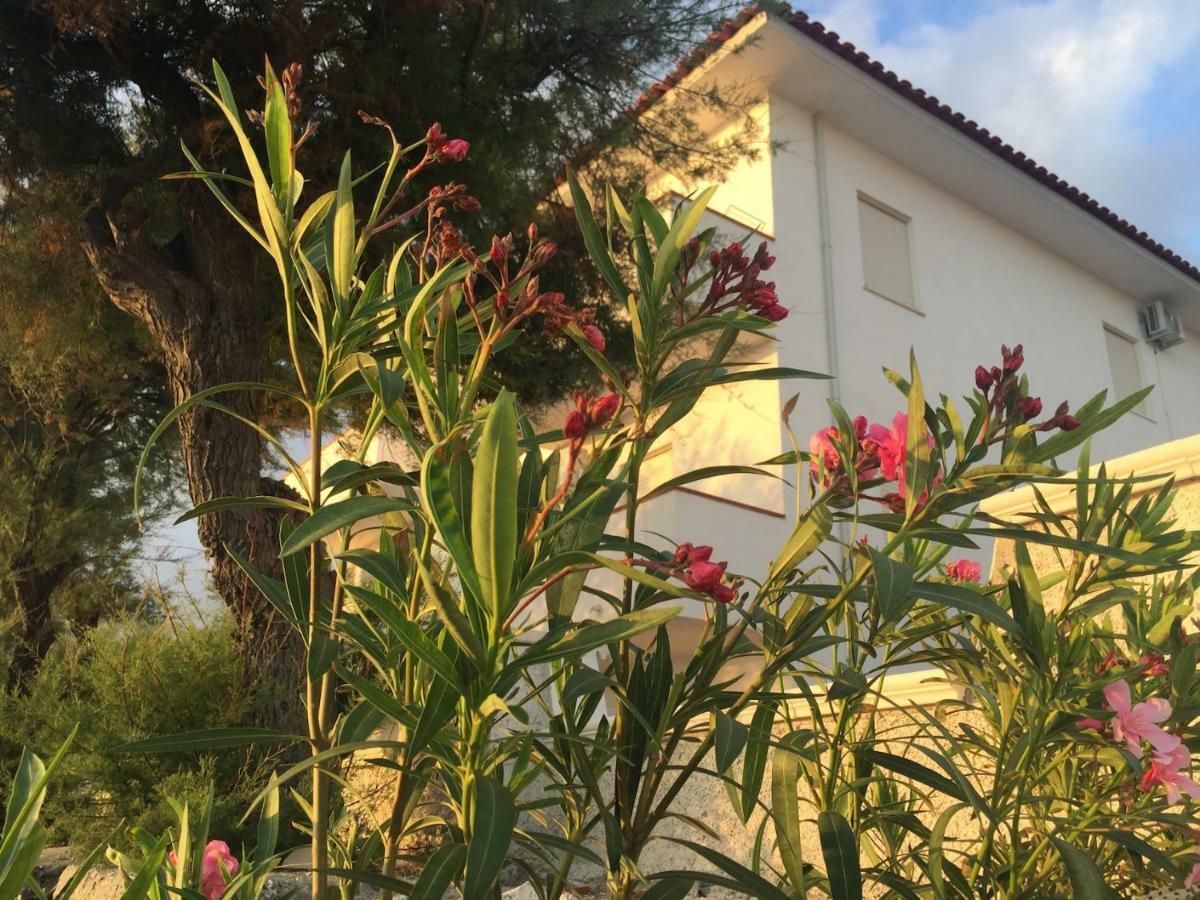 Rivamare Campora Casa Vacanze Campora San Giovanni Exterior photo